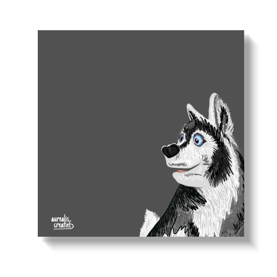 Een husky in profiel met één blauw oog, die omhoog kijkt.
