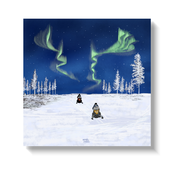 Twee sneeuwscooters die door de sneeuw rijden onder een groene aurora en met rijp bedekte bomen.