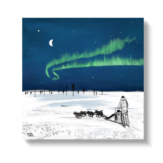 Een musher en een huskyteam die door de sneeuw trekken onder een uitgestrekte groene aurora.