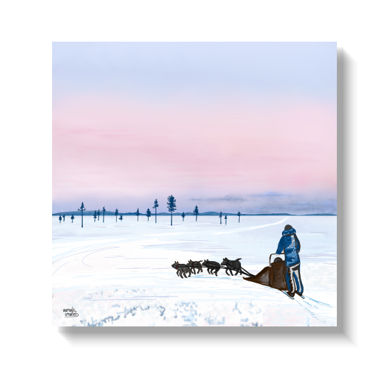 Een huskyteam dat een slee door de sneeuw trekt onder een zachtroze hemel.