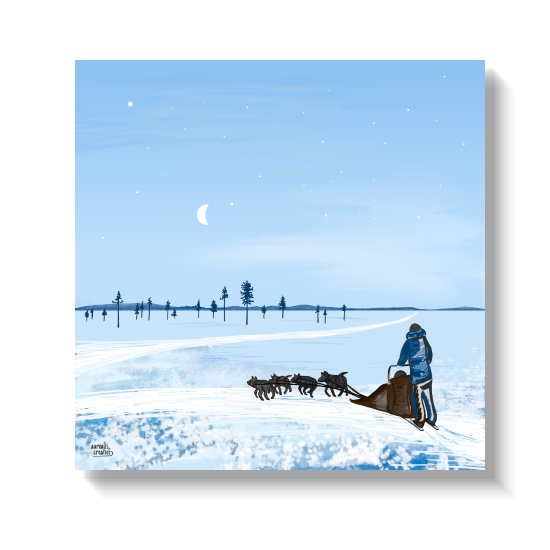 Een halve maan boven een huskyteam dat over de blauwe poolsneeuw rent.