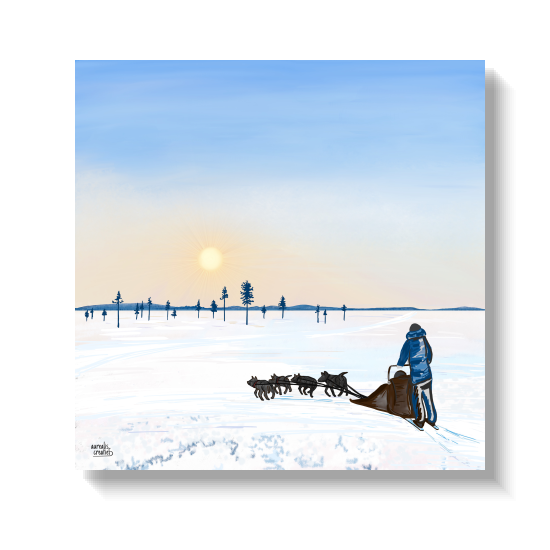 Een huskyteam en een musher doorkruisen de sneeuw op weg naar een bleke winterse zonsopgang.