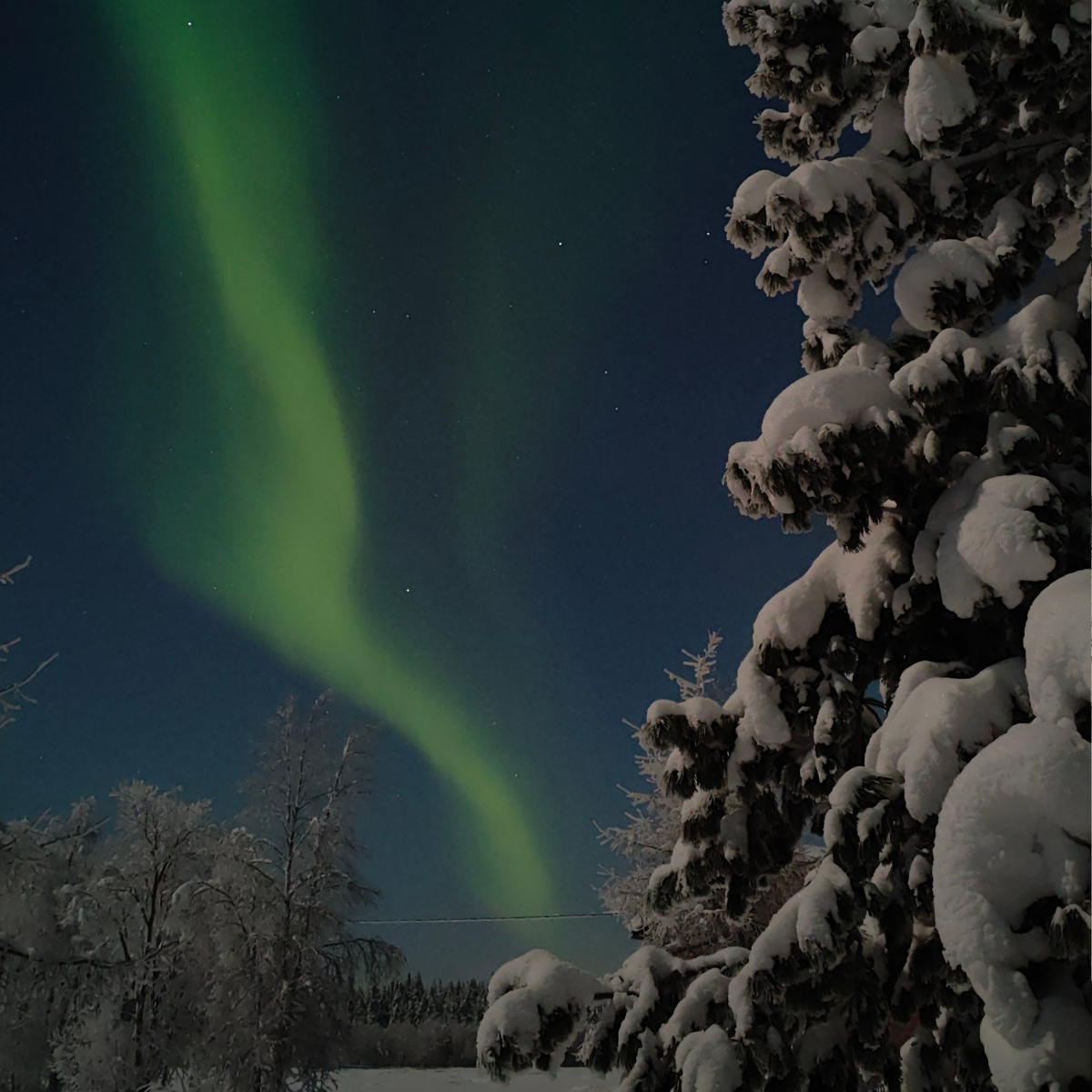 Noorderlicht boven Fins Lapland, gefotografeerd door Els Bancken