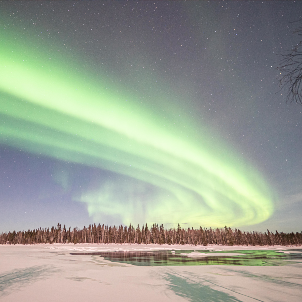 Meerdere felgroene stroken noorderlicht die de hemel boven een met sneeuw bedekt landschap in Lapland vullen, februari 2020.