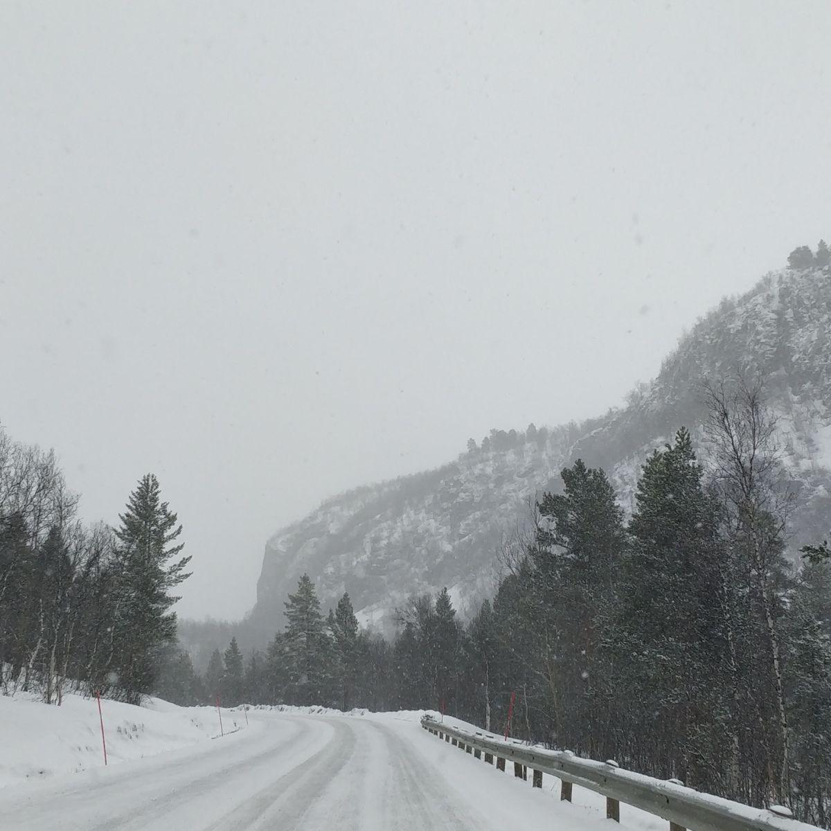 Een met sneeuw bedekte weg die zich door een bergpas in Lapland slingert terwijl de sneeuw valt, met sparren en berken langs de berm en een vangrail aan de rechterkant.