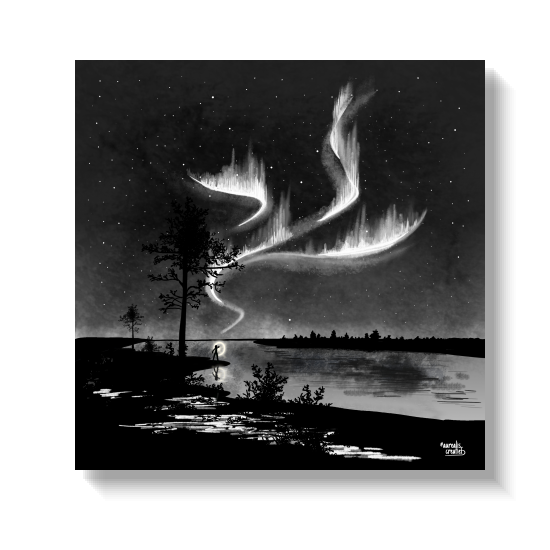 Handgetekende zwart-witillustratie van dansend noorderlicht boven een eenzame boom aan het water