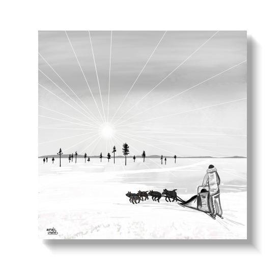 Handgetekende illustratie van een huskyspan dat door de sneeuw trekt in de lage voorjaarszon