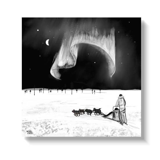 Handgetekende illustratie van een huskyspan onder het noorderlicht en een maansikkel