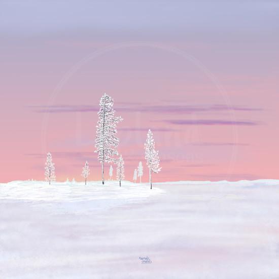 Krokante Versheid van Aurealis Creatief — glinsterende sneeuwkorst onder lentezon in Lapland