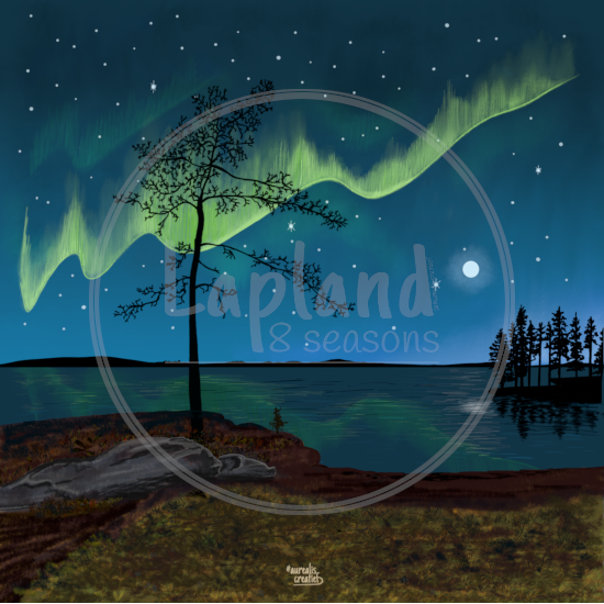 Eerste Glimp van het Noorderlicht van Aurealis Creatief — vage aurora boven eiland in late-zomer Lapland