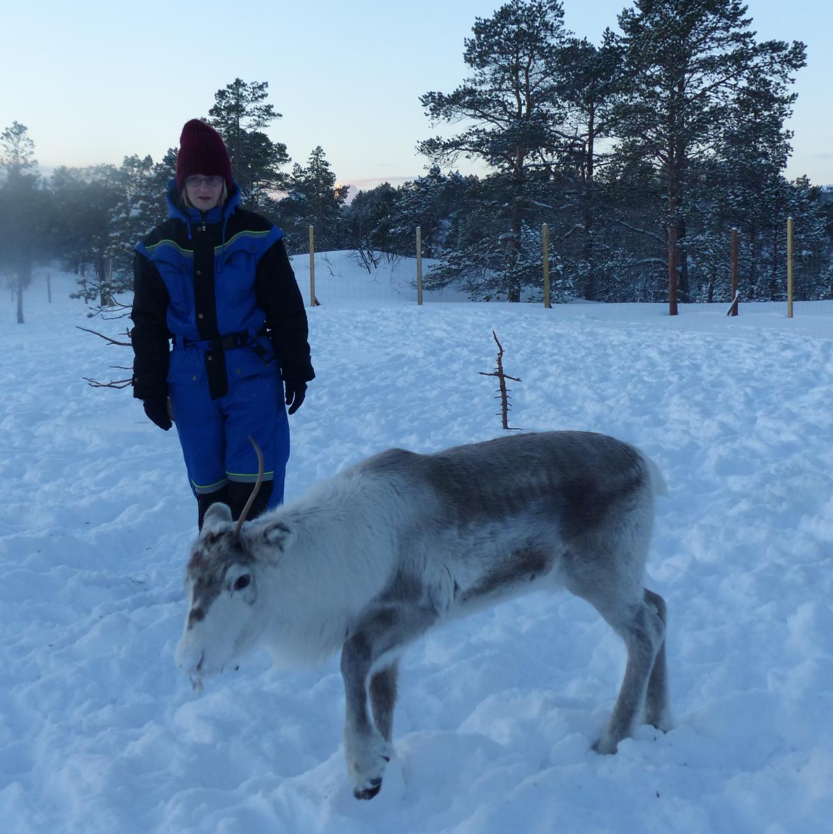 Els Bancken staat in de sneeuw naast een jong rendier in Malangen, Noord-Noorwegen, 2019. Aurealis Creatief.