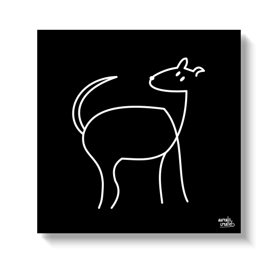Slanke hond die staat met zijn staart omhoog, omlijnd in wit.