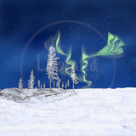 Bevroren Bos van Aurealis Creatief — berijpte dennen onder groen noorderlicht in Fins Lapland'