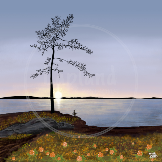 Gouden Uur van Aurealis Creatief — lage herfstzon vangt gele bessen bij Lapland-water
