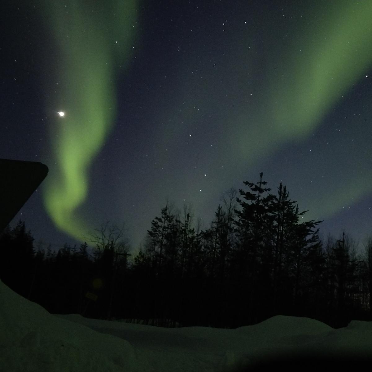 Een groene aurora-boog boven met sneeuw bedekte bomen op een winternacht, vastgelegd met een gewone telefoon.