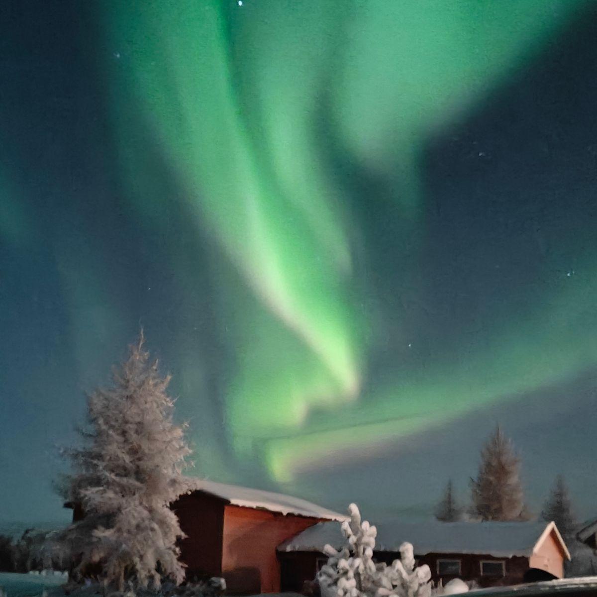 Groene noorderlichten die ’s nachts over besneeuwde bomen en een rood huisje in Fins Lapland schitteren.