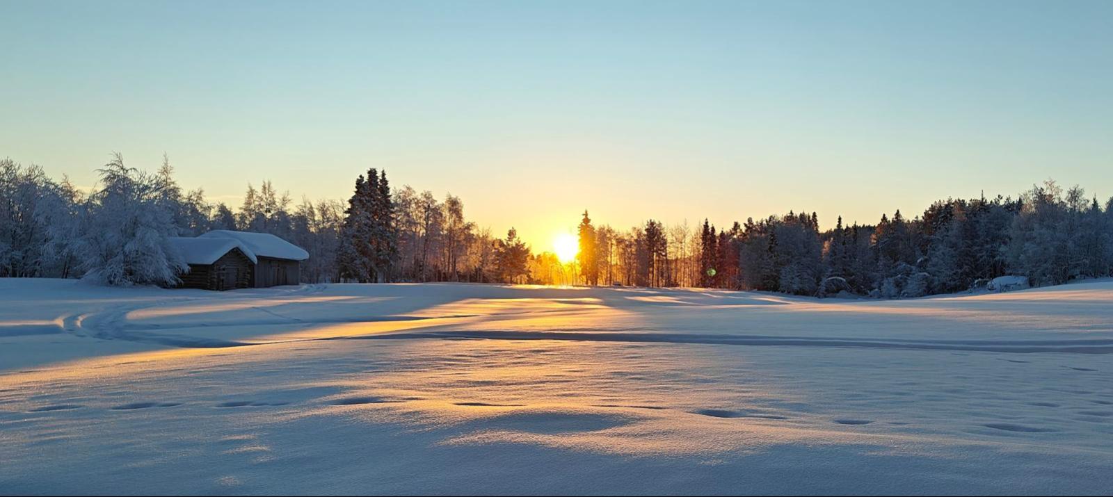 De laagstaande winterzon net boven de horizon boven een met sneeuw bedekt landschap in Fins Lapland op 20 januari, de eerste zonsopgang die zichtbaar was na de poolnacht.