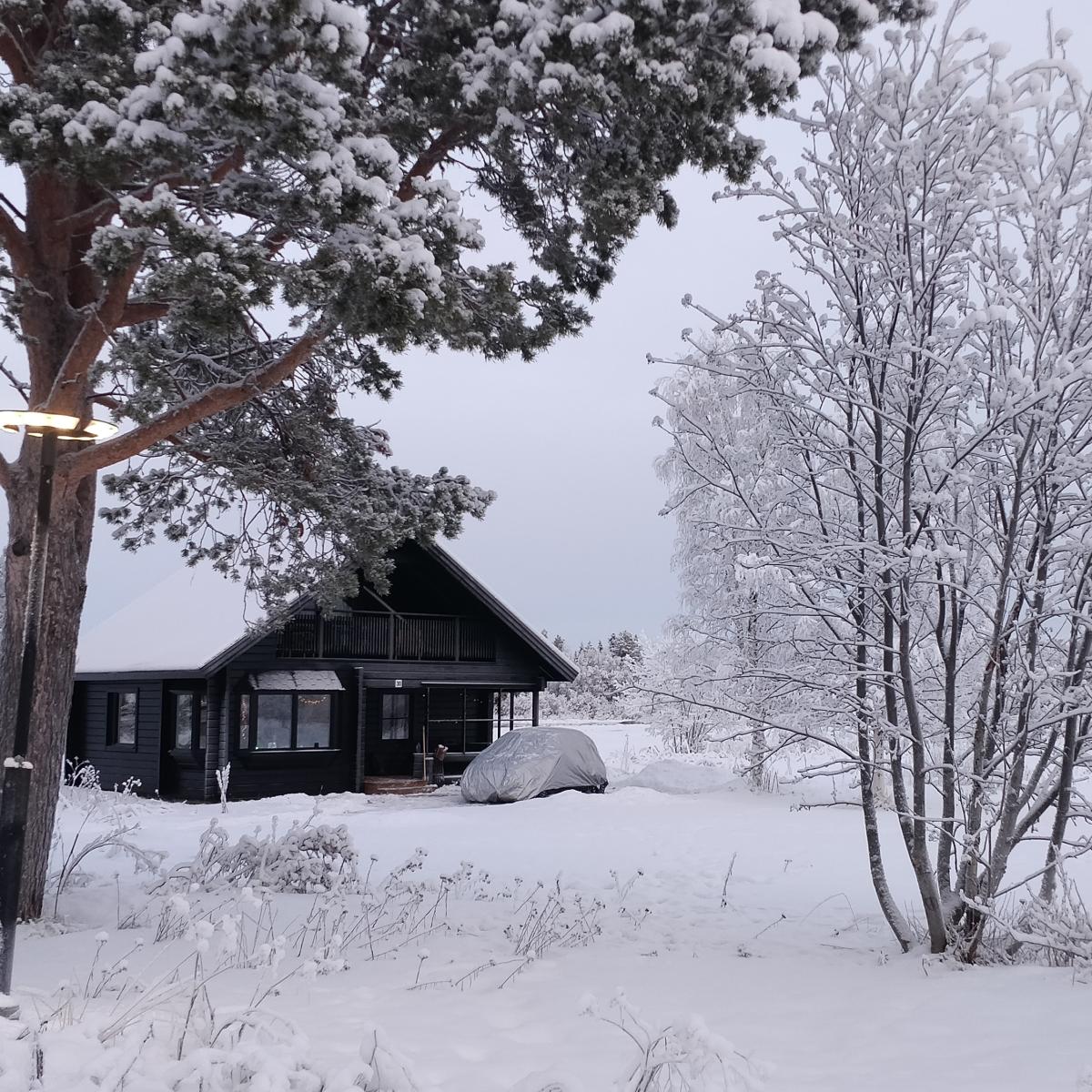 Een klein zwart houten vakantiehuisje aan de Ounasjoki in Tepasto, Lapland, omringd door kale berken en sneeuw.