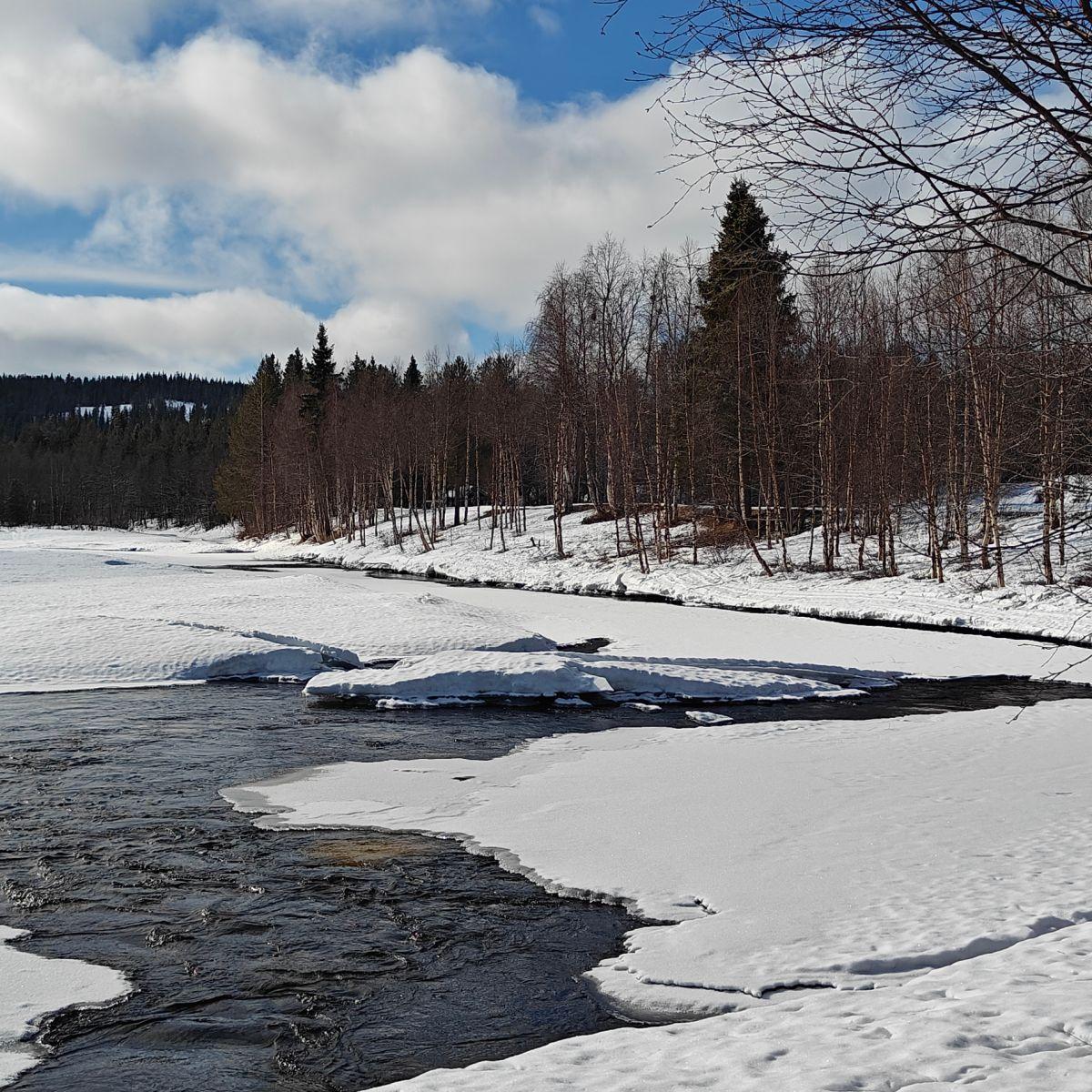 IJsschotsen die in het late voorjaar op een gedeeltelijk bevroren rivier in Fins Lapland uit elkaar drijven, met open water dat zich onder een heldere hemel een weg baant tussen het ijs.