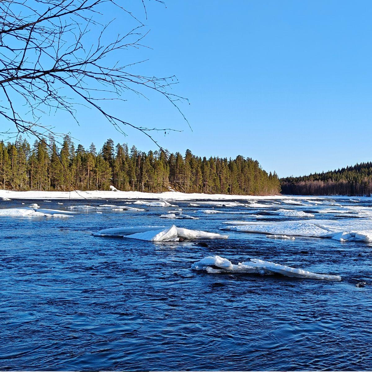 IJsschotsen op een rivier in Fins Lapland, late lente