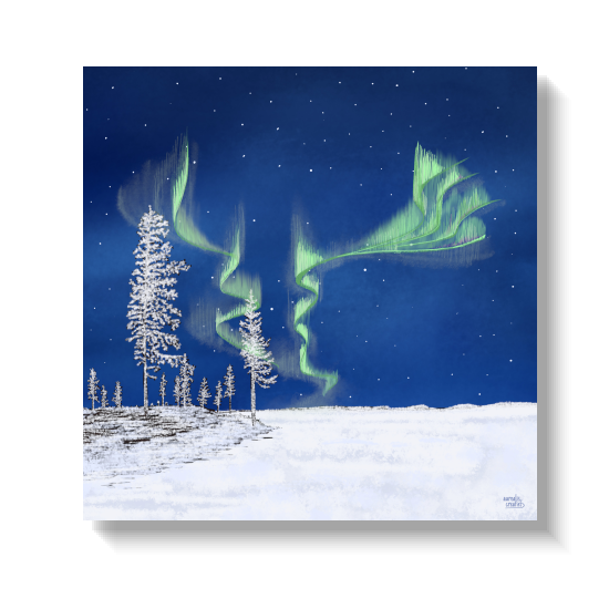 Bevroren Bos van Aurealis Creatief — berijpte dennen onder groen noorderlicht in Fins Lapland