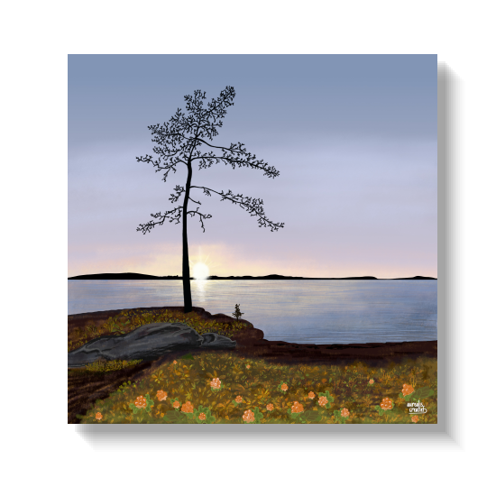 Gouden Uur van Aurealis Creatief — lage herfstzon vangt gele bessen bij Lapland-water