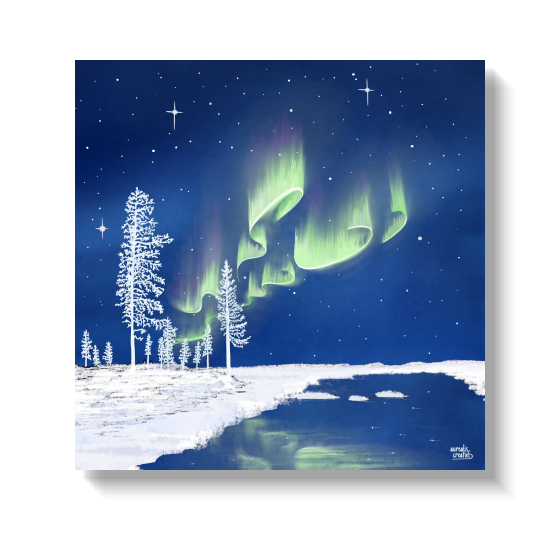 Sub-Zero Winter van Aurealis Creatief — noorderlicht boven berijpt Lapland-landschap bij -30°C