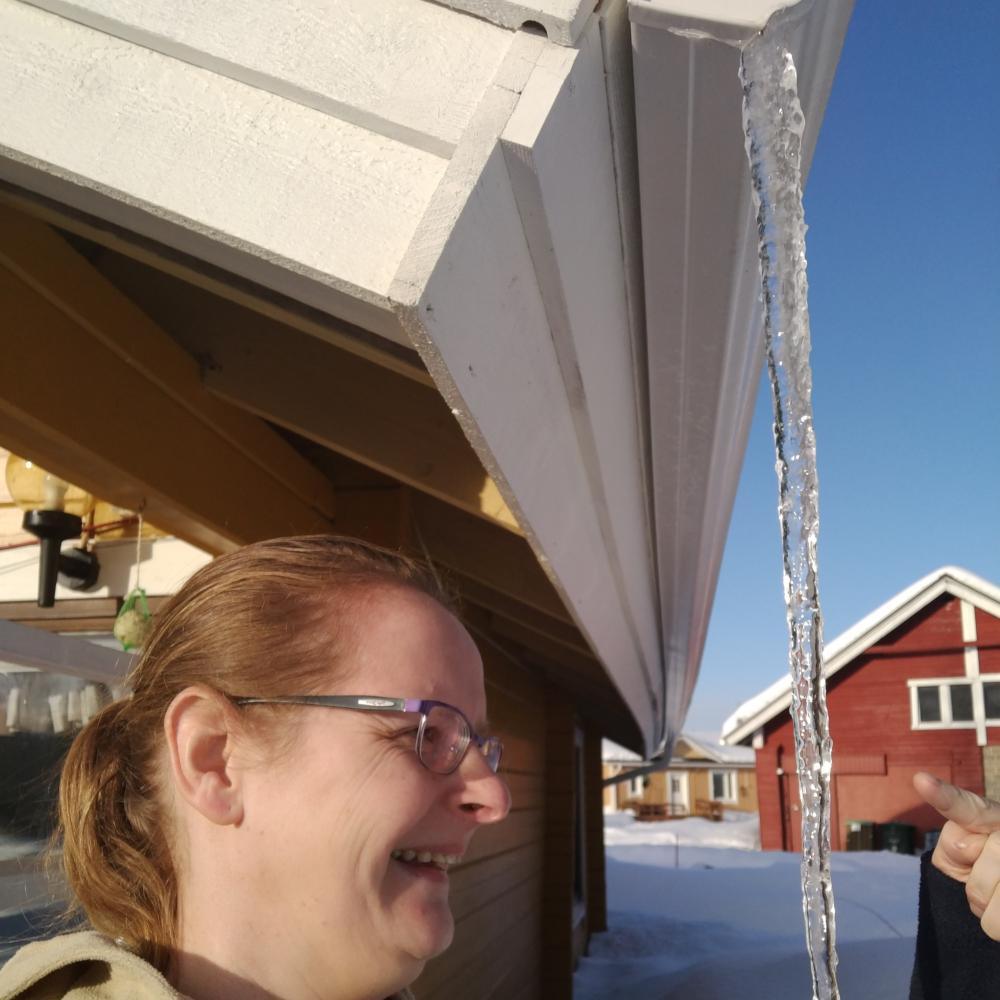 Een lange ijspegel die in april aan een dakrand in Lapland hangt, ontstaan door smelten overdag en opnieuw bevriezen ’s nachts.