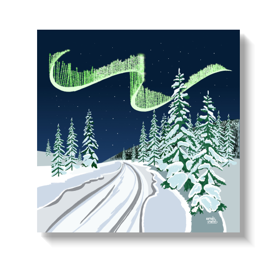 Een besneeuwde weg die slingert tussen met rijp bedekte sparren onder een groen aurora-lint.