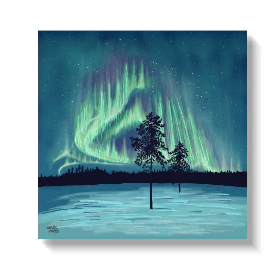 Blauwgroen noorderlicht dat opkomt achter twee dennenbomen op een bevroren meer.