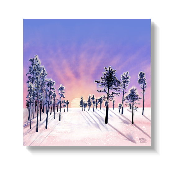 Roze zonsondergang achter met rijp bedekte dennenbomen die lange schaduwen op de sneeuw werpen.