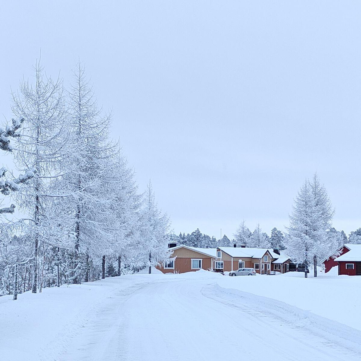 Een bewolkte winterdag in Fins Lapland, waar de sneeuw het licht naar boven weerkaatst, waardoor het landschap en de lucht egaal wit lijken in plaats van grijs.