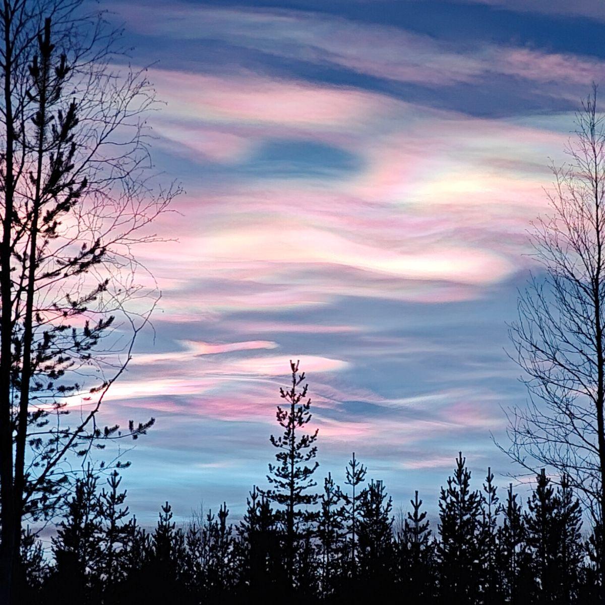 Parelmoerachtige wolken in stroken van iriserend roze, mintgroen en lichtgoud boven een donkere rij silhouetten van sparren en berken in Fins Lapland bij schemering.
