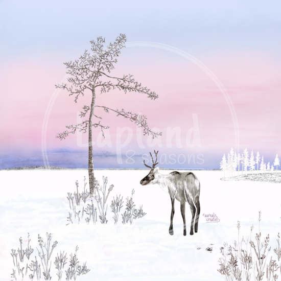Roze Frisse Ochtend in Lapland van Aurealis Creatief — rendier onder boom met zachte roze poolnacht-hemel