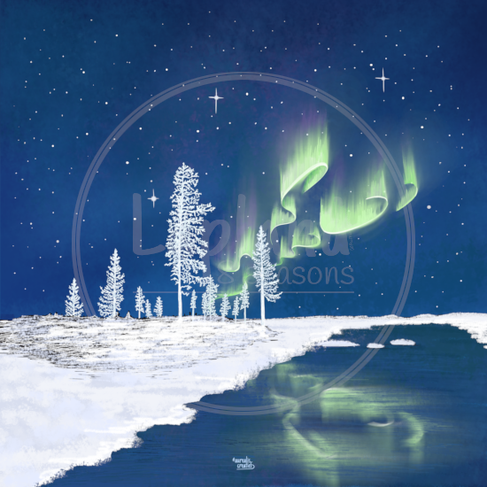 Sub-Zero Winter van Aurealis Creatief — noorderlicht boven berijpt Lapland-landschap bij -30°C